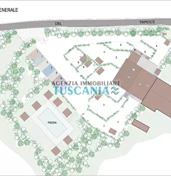 Foto annuncio 5