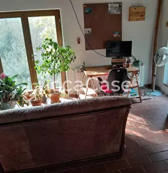 Foto annuncio 10