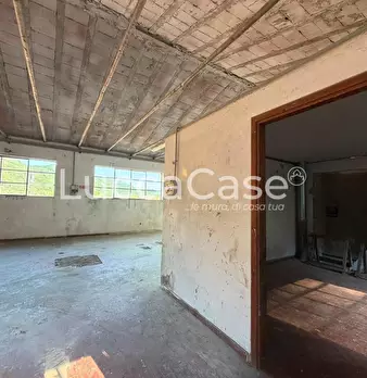 Foto annuncio 25