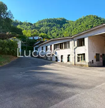 Foto annuncio 29