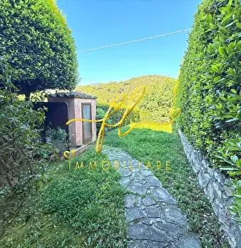Foto annuncio 39