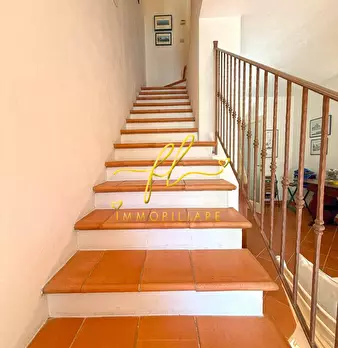 Foto annuncio 31