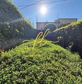 Foto annuncio 43