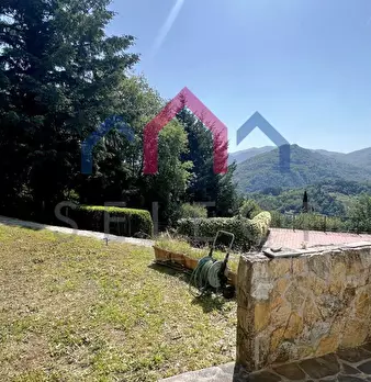 Foto annuncio 4