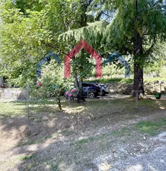Foto annuncio 68