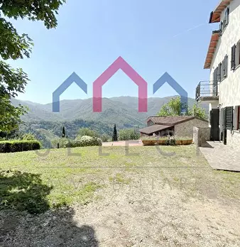 Foto annuncio 60