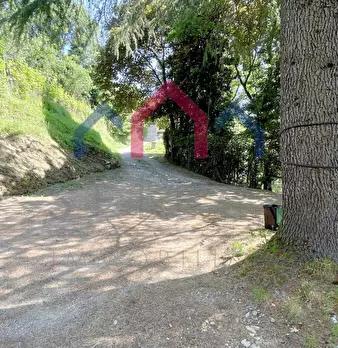 Foto annuncio 62