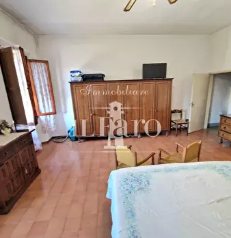 Foto annuncio 17