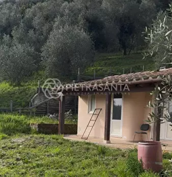Foto annuncio 6
