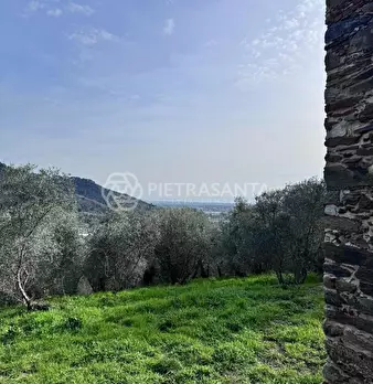 Foto annuncio 4