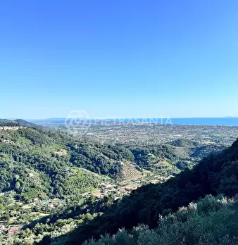 Foto annuncio 27