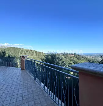 Foto annuncio 36