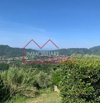 Foto annuncio 26
