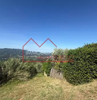 Foto annuncio 24
