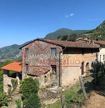 Foto annuncio 17