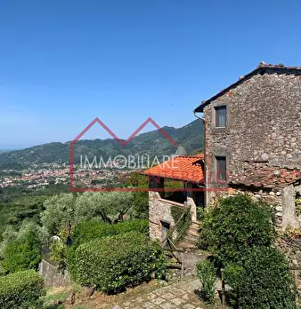 Foto annuncio 1