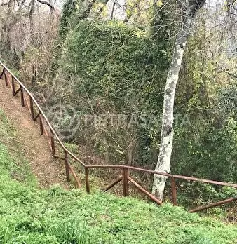 Foto annuncio 7