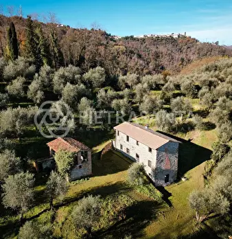 Foto annuncio 2