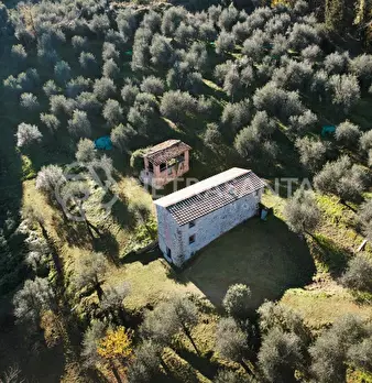 Foto annuncio 5