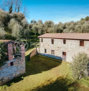 Foto annuncio 1