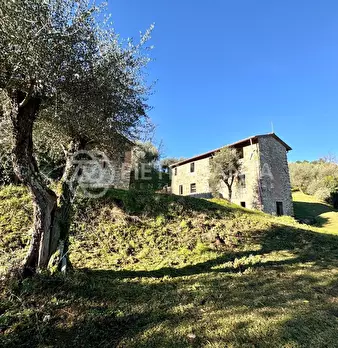 Foto annuncio 9