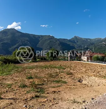 Foto annuncio 39