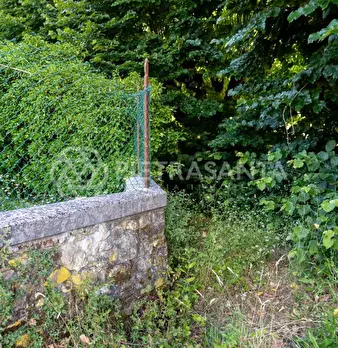 Foto annuncio 40