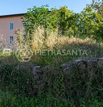 Foto annuncio 36