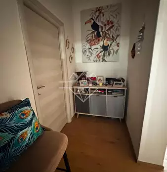 Foto annuncio 5