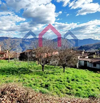 Foto annuncio 36