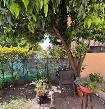 Foto annuncio 3
