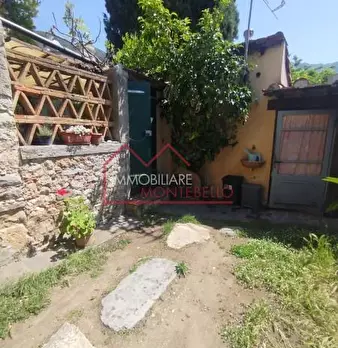 Foto annuncio 7