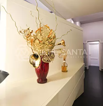 Foto annuncio 57