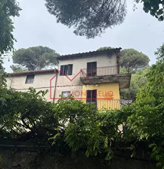 Foto annuncio 27