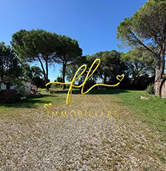 Foto annuncio 32