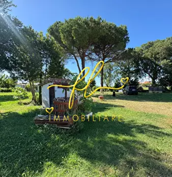Foto annuncio 28