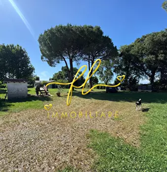 Foto annuncio 31