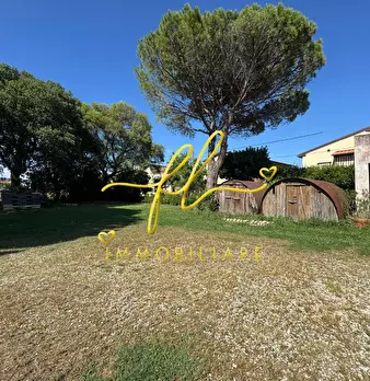 Foto annuncio 29