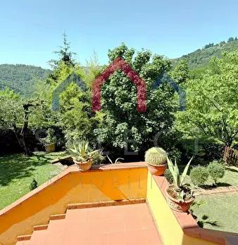 Foto annuncio 14