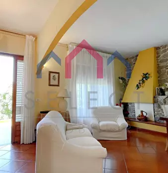 Foto annuncio 19