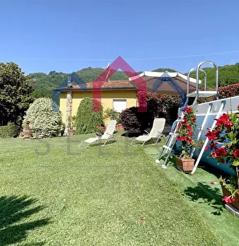 Foto annuncio 50