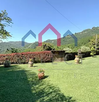 Foto annuncio 47
