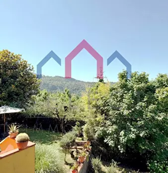 Foto annuncio 15
