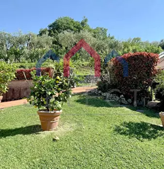 Foto annuncio 57