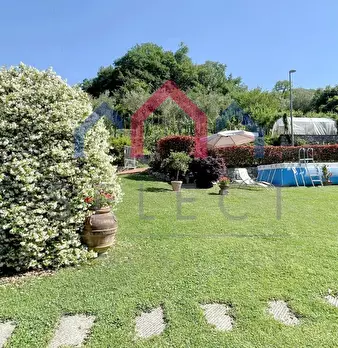 Foto annuncio 61