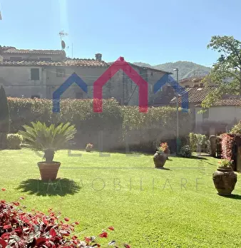Foto annuncio 77