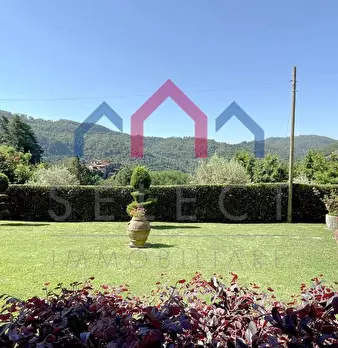 Foto annuncio 52