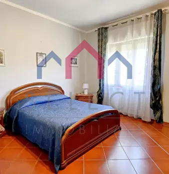 Foto annuncio 33