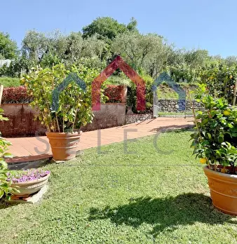 Foto annuncio 78