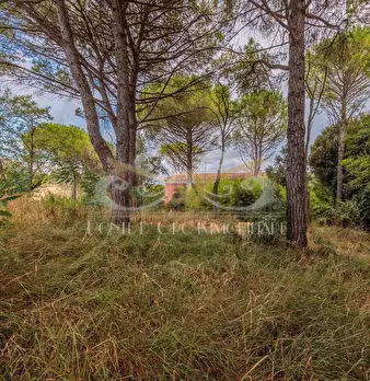 Foto annuncio 18